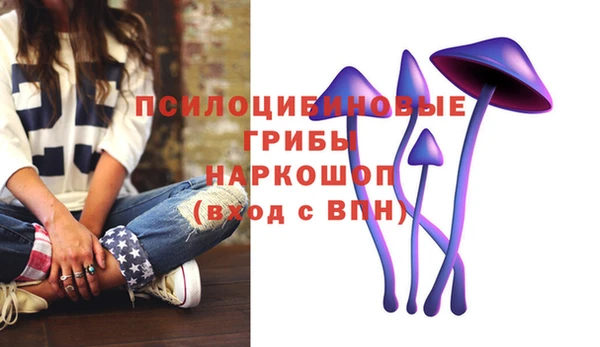 молекула духа Бронницы
