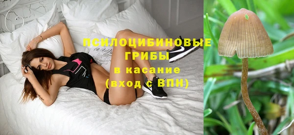 молекула духа Бронницы